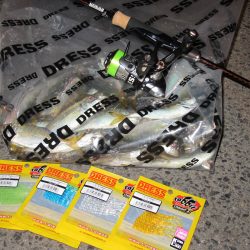 豆アジ　アジングラビット